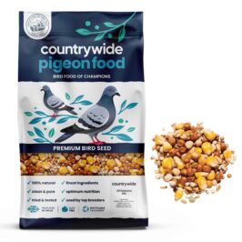 Countrywide All Seasons Pigeon Mix 20kg